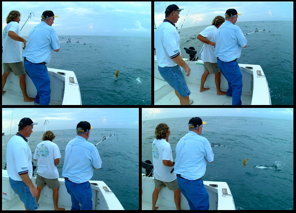 (03) montage (fishing).jpg   (1000x720)   287 Kb                                    Click to display next picture